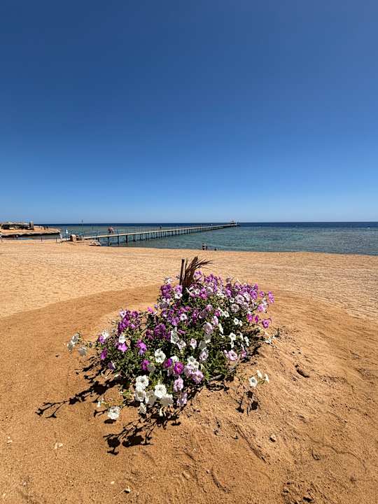 Strand Three Corners Happy Life Beach Resort