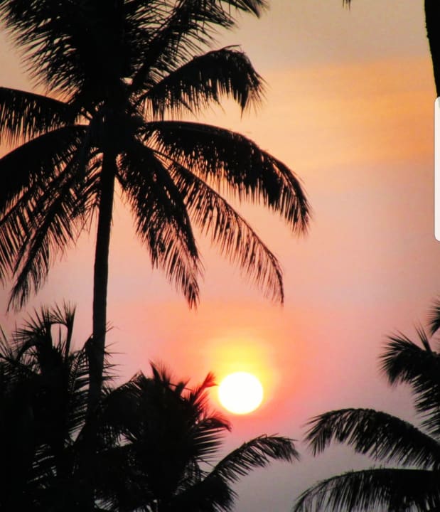 Ausblick Royal Palms Beach Hotel