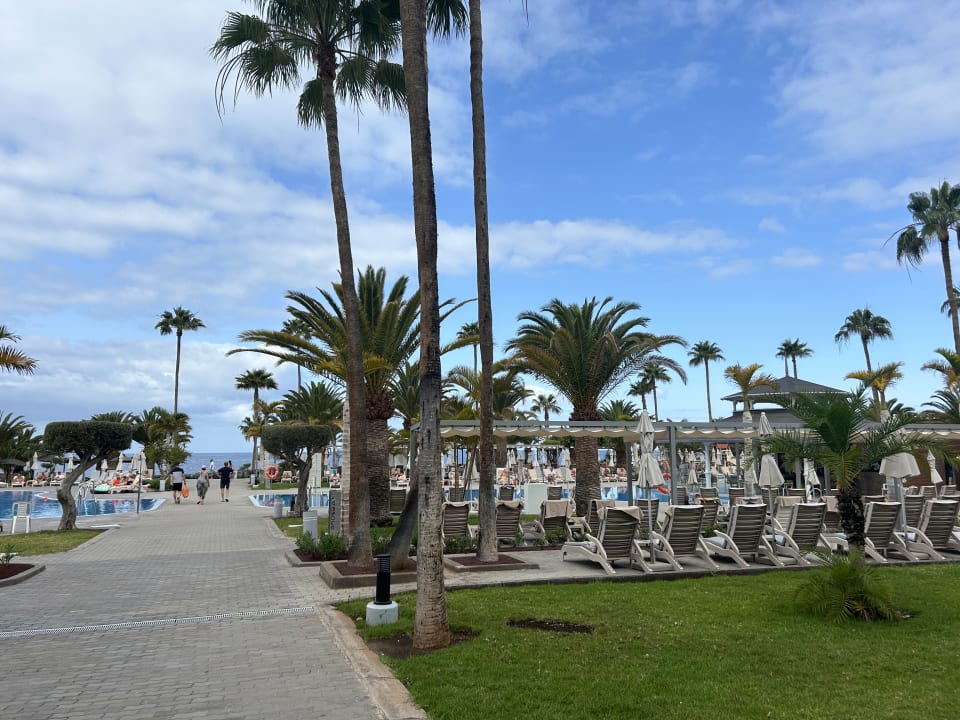 Pool Hotel Riu Palace Tenerife