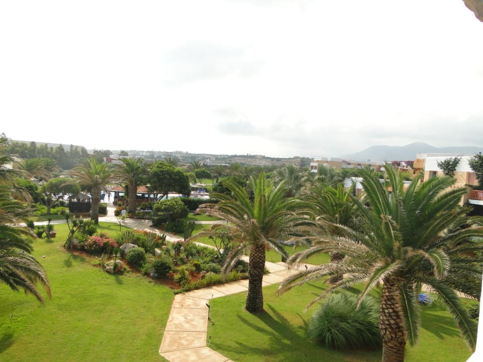 Widok na ogród i basen Anissa Beach & Village