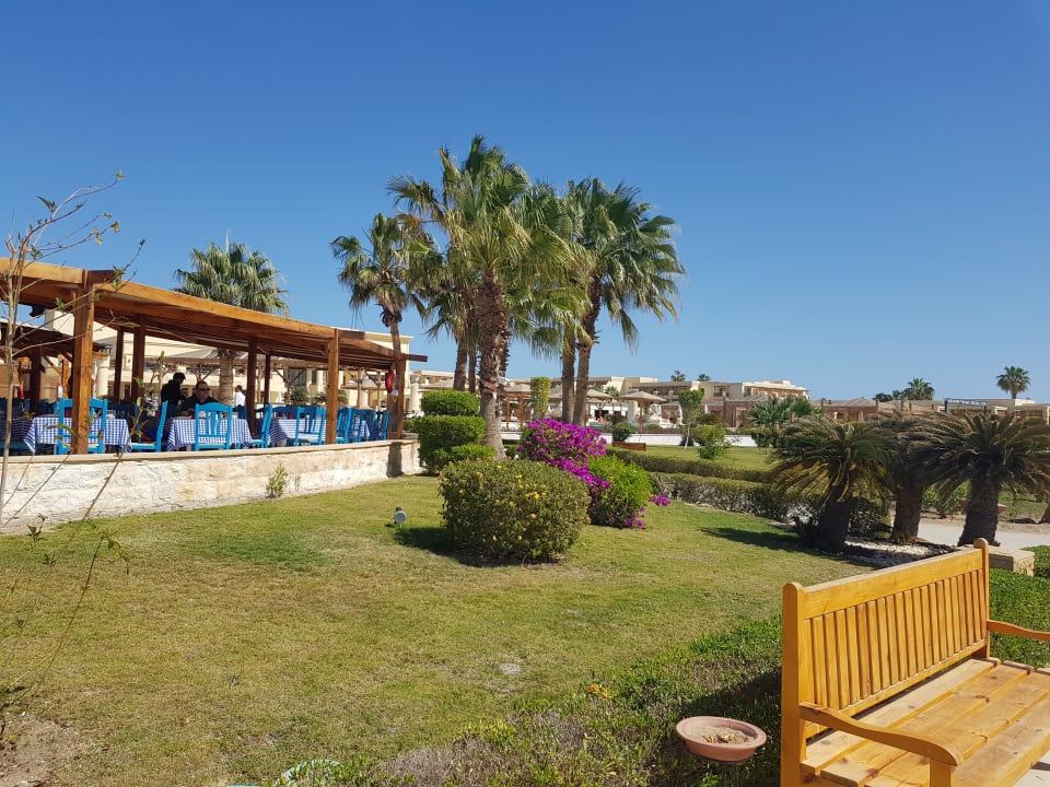 Gartenanlage Hotel Sheraton Soma Bay Resort