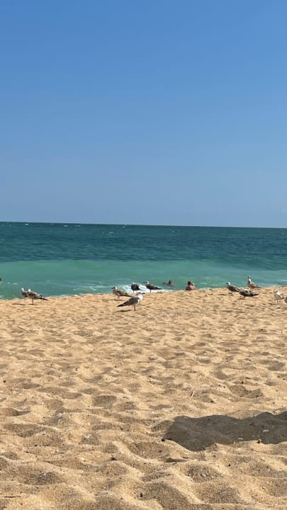 Strand Sentido Marea