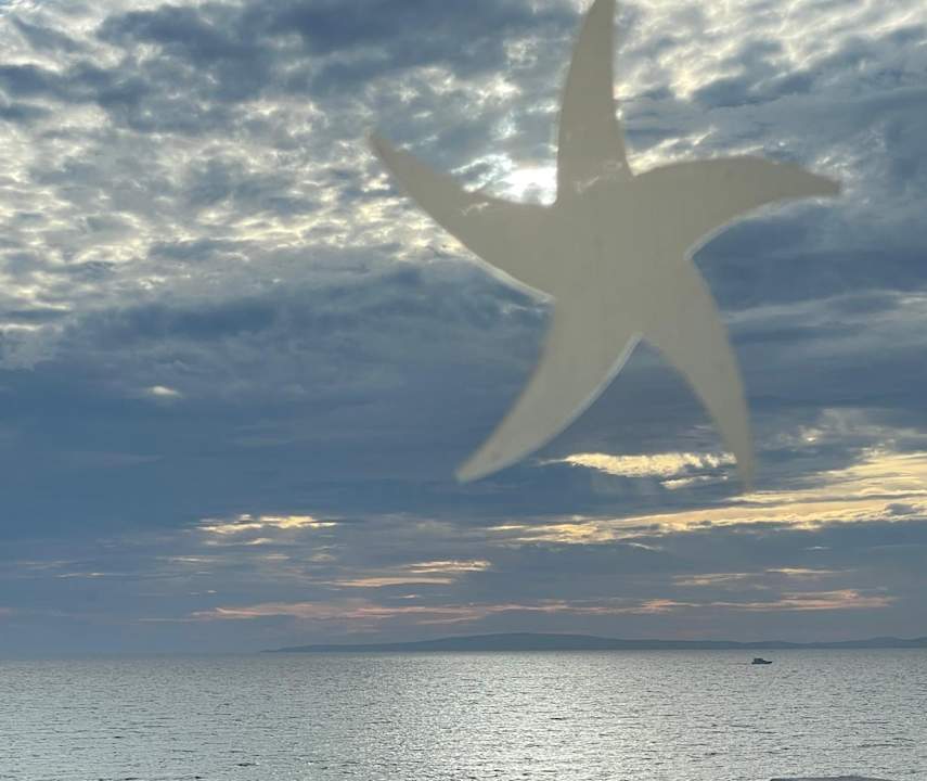 Ausblick Iberostar Waves Bahia de Palma