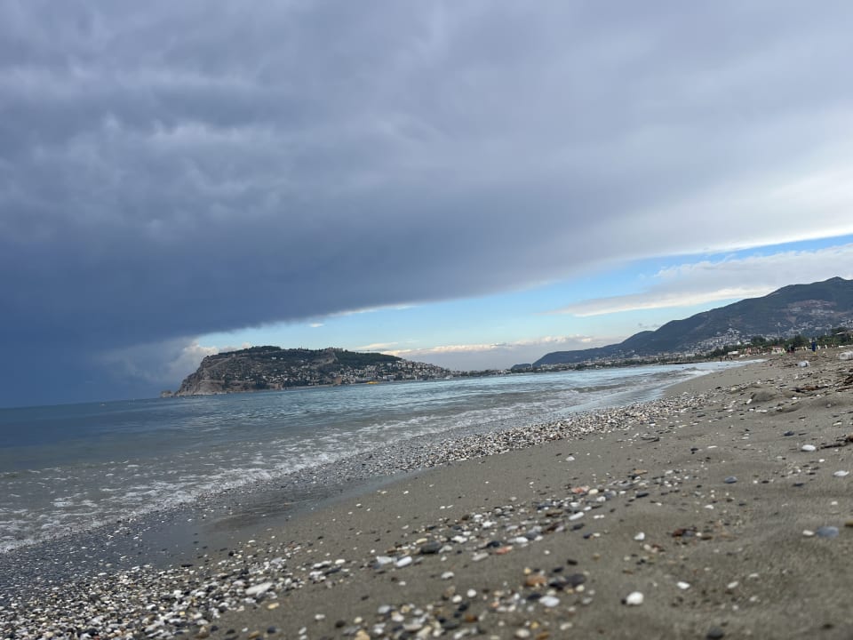 Strand Blue Diamond Alya