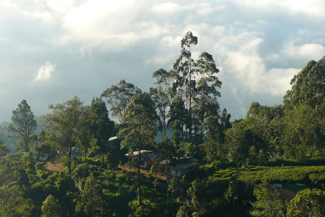 Widok z pokoju Olympus Plaza Hotel
