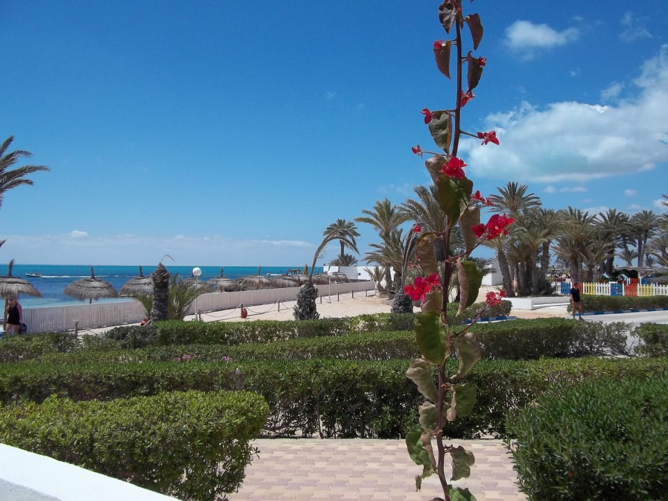 Richtung Spielplatz Hotel El Mouradi Djerba Menzel