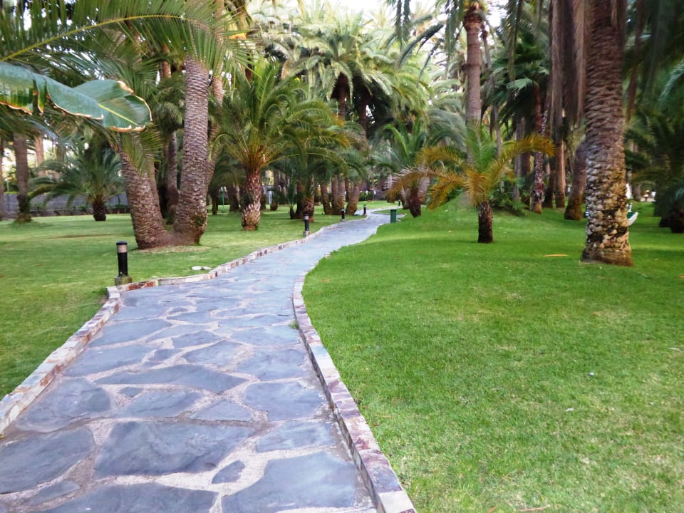 Gartenanlage Hotel Riu Palace Oasis