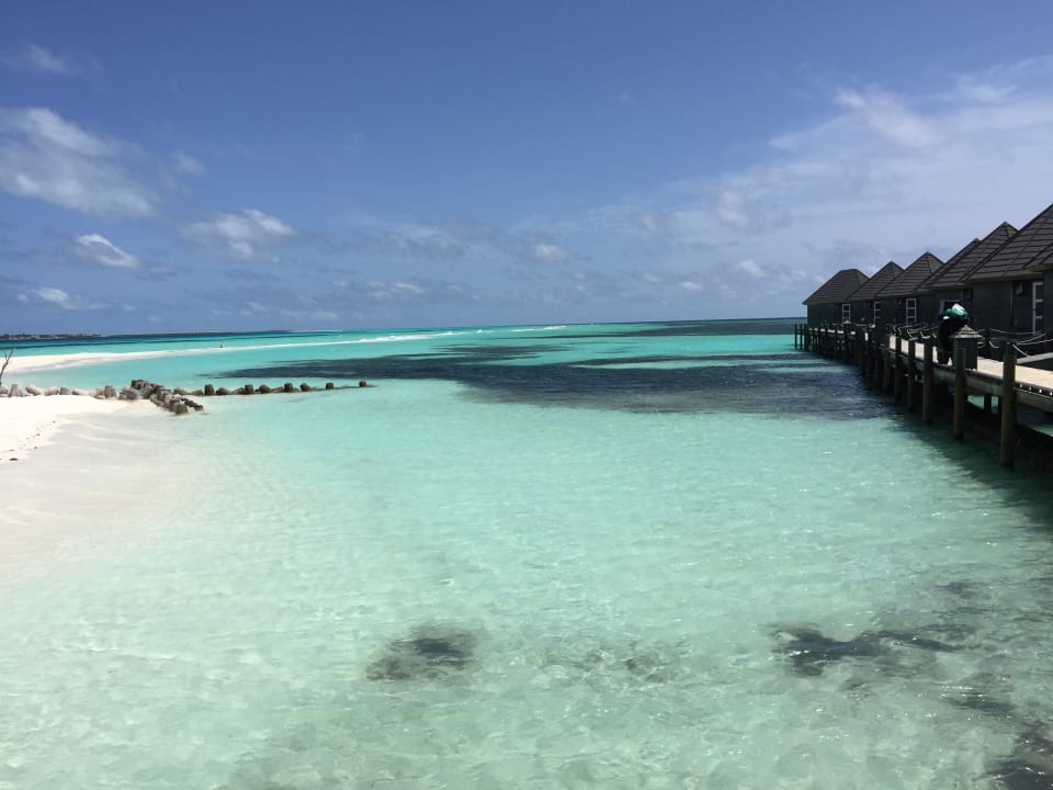 Ausblick Kuredu Island Resort & Spa