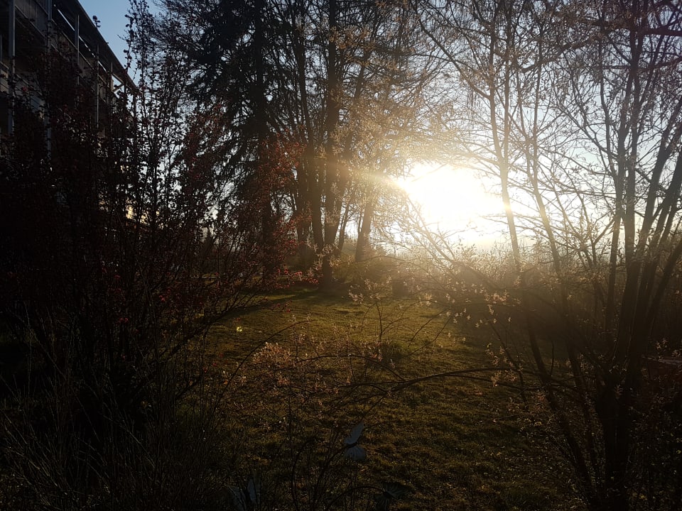 Sonstiges Vitalhotel König am Park