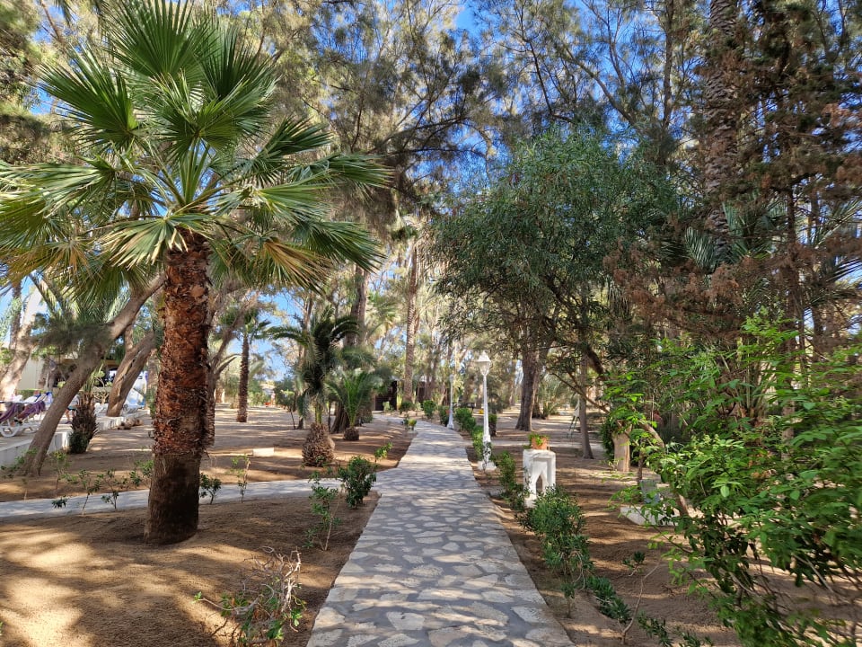 Gartenanlage Marhaba Royal Salem