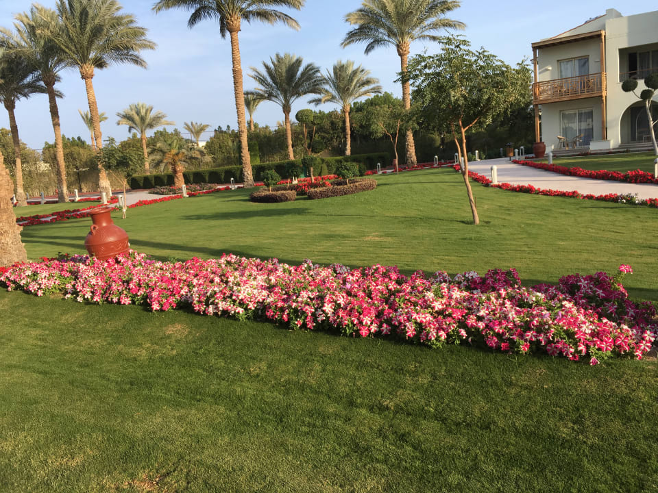Gartenanlage Pickalbatros Dana Beach Resort - Hurghada