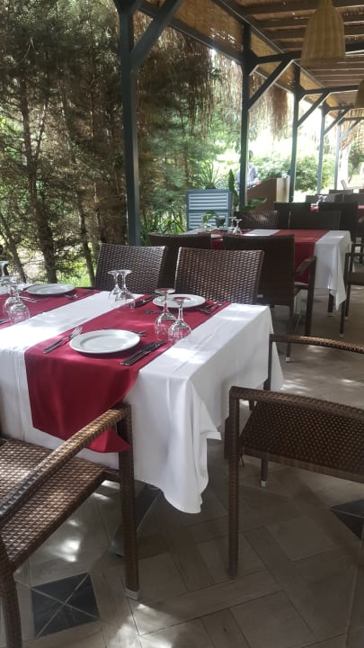 Gastro Asteria Collection Side