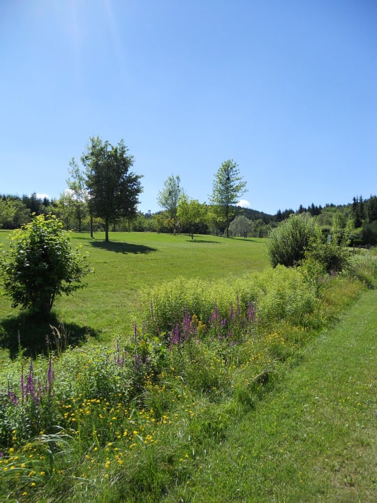 Golfanlage Aldiana Club Ampflwang