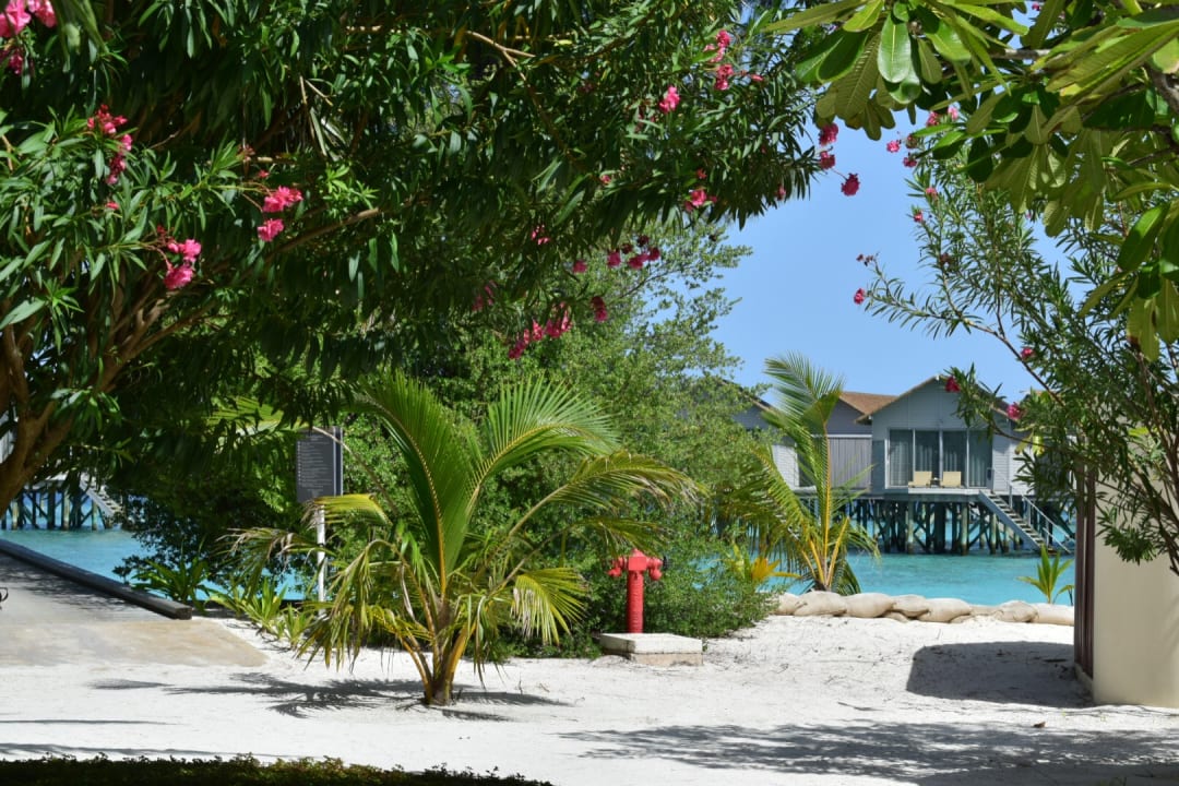 Außenansicht Centara Ras Fushi Resort & Spa Maldives