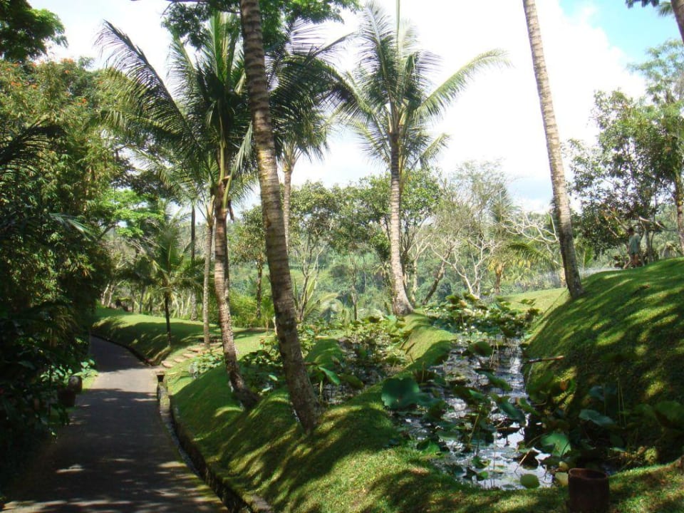Garten COMO Shambhala Estate