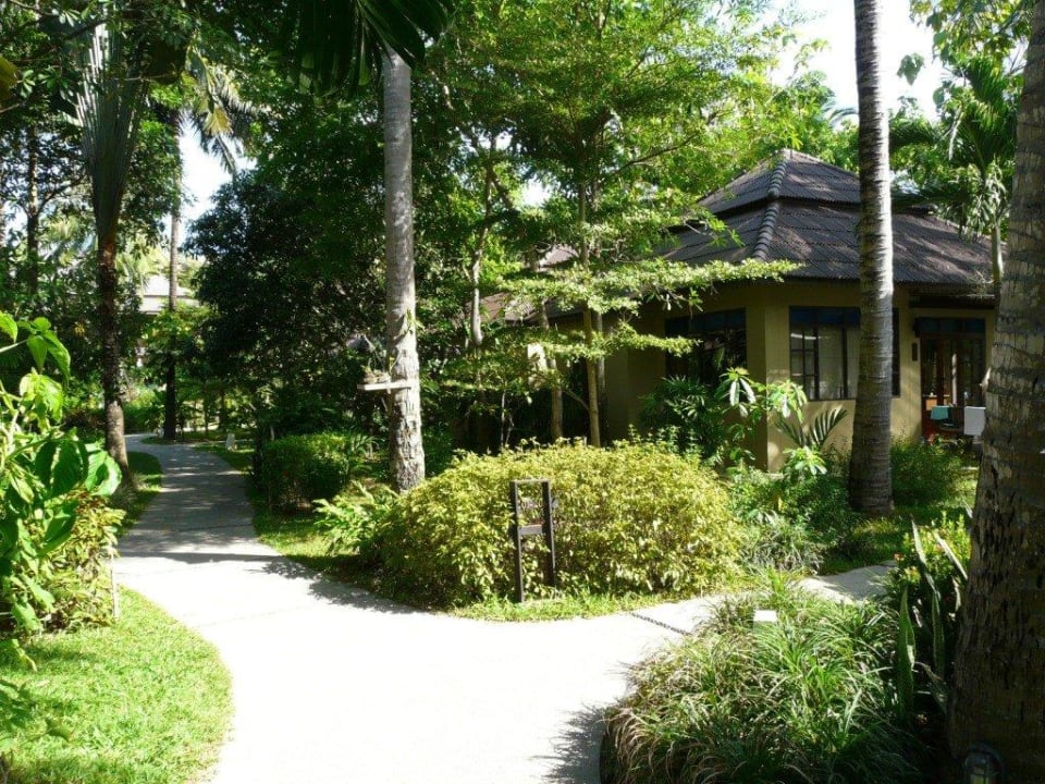 Wohnen wie im Urwald NH Collection Samui Peace Resort