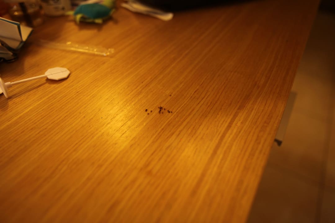 Ants in the room Sol Cosmopolitan Rhodes