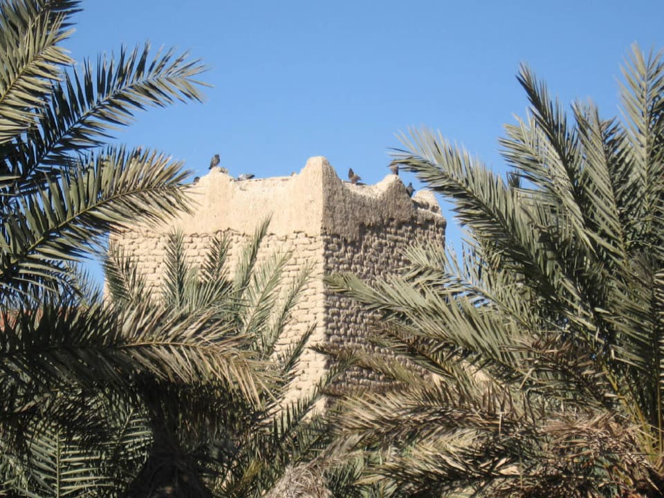 Aussenaufnahme Kasbah Hotel Xaluca Arfoud