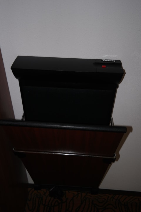 "Hosenbügler" Mercure Hotel Amsterdam City