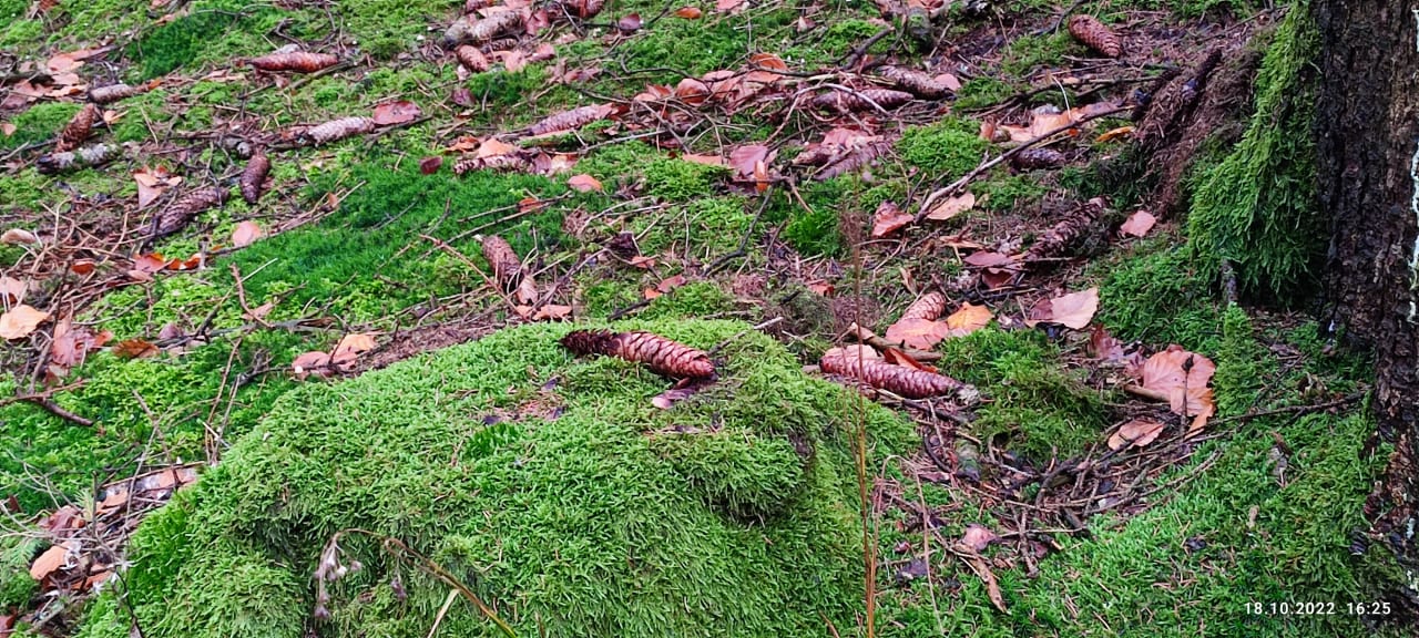 Ausblick Berghotel Hoher Knochen