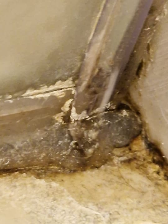 Zimmer Pickalbatros Citadel Resort