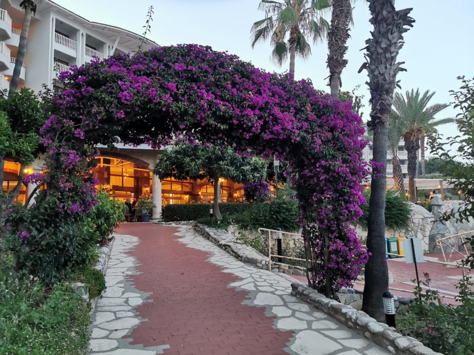 Gartenanlage Hotel Defne Garden