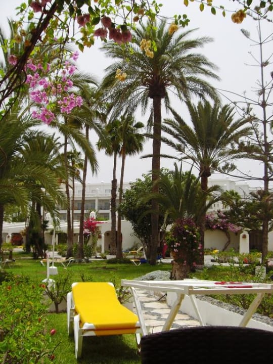 Ausblick von unserem Bungalow Sahara Beach Club