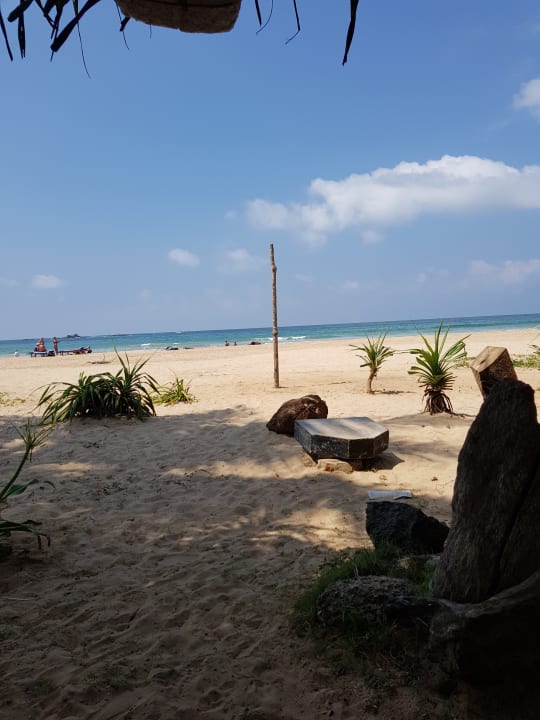 Strand Thaala Bentota