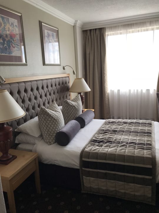 Zimmer Safari Court Hotel