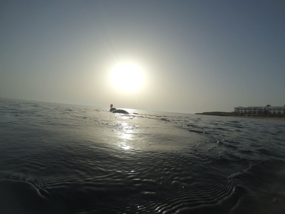 Ausblick Coral Sun Beach