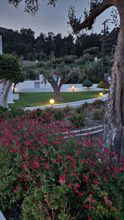 Außenansicht Dimitra Beach Hotel & Suites