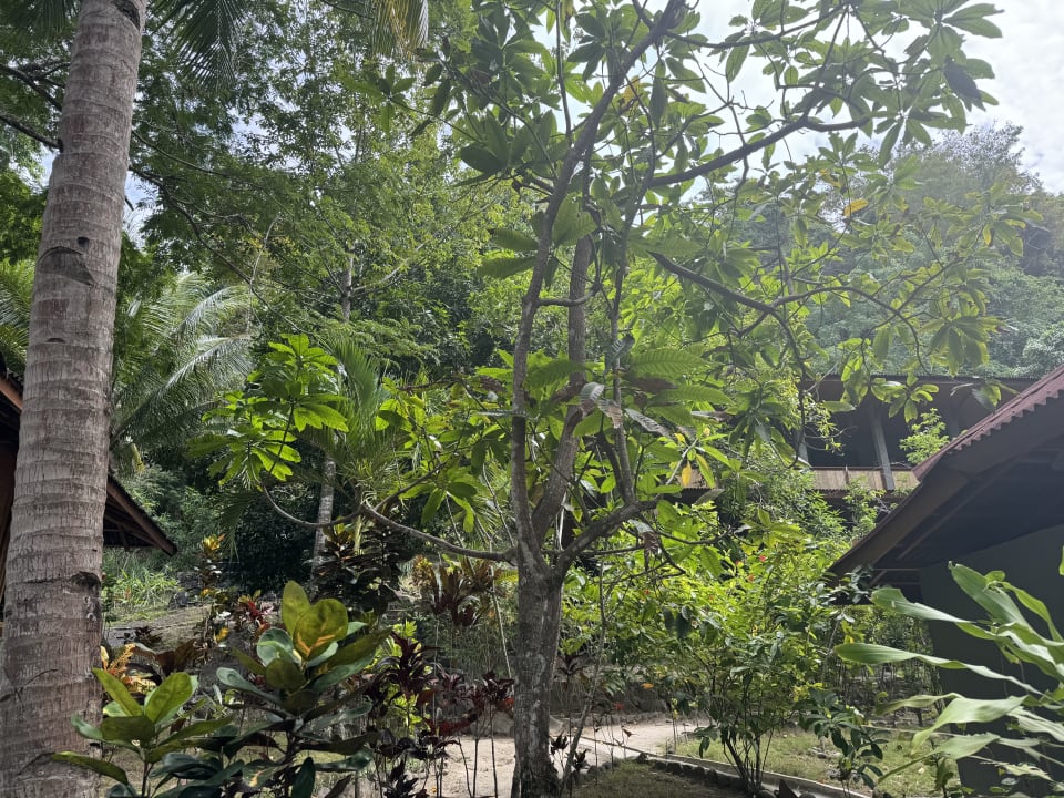 Gartenanlage Pulisan Resort