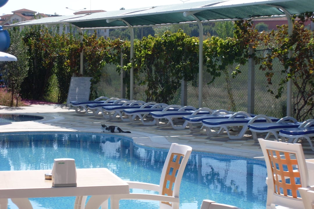 Frühstück am Pool Yavuzhan Otel