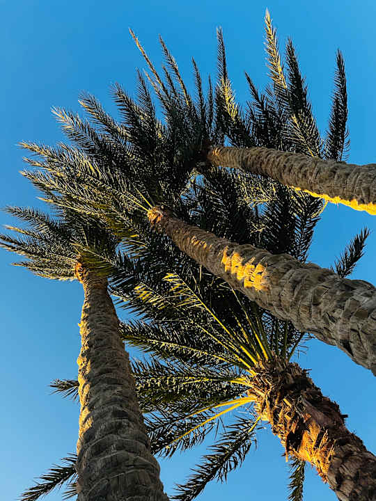 Strand Serry Beach Resort