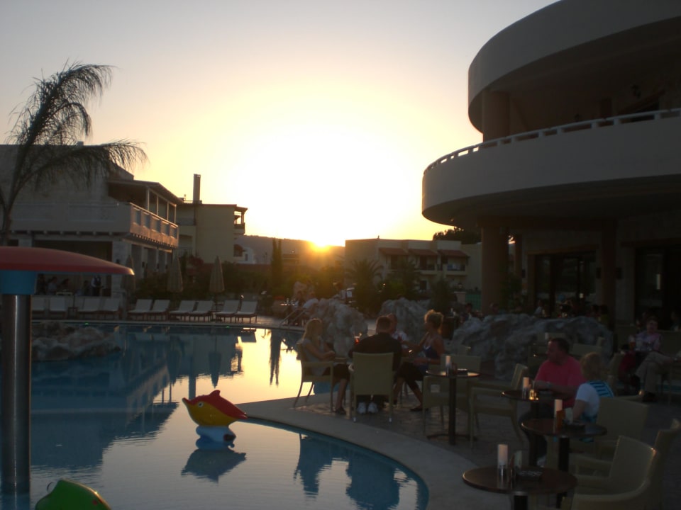 Morgensonne Cactus Royal