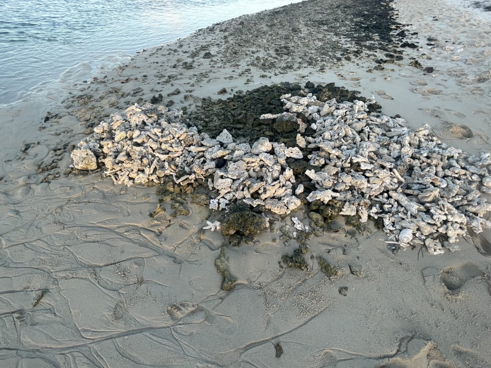 Strand Shandrani Beachcomber Resort & Spa