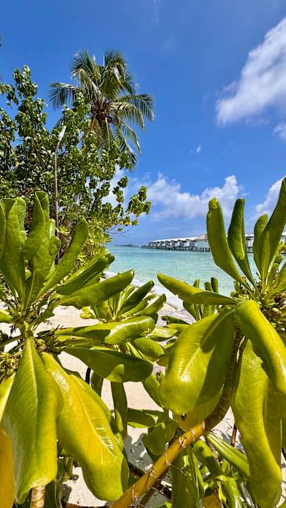 Außenansicht Cinnamon Hakuraa Huraa Maldives