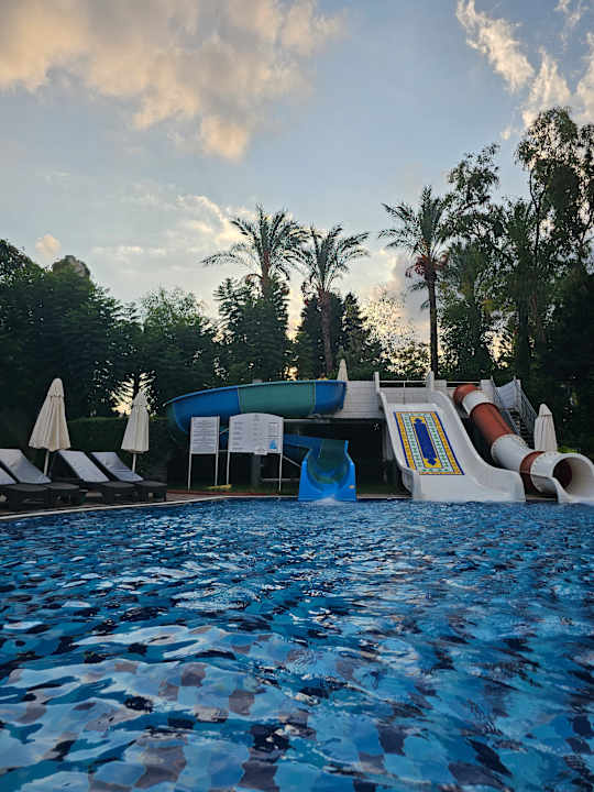 Pool Hotel Delphin Imperial