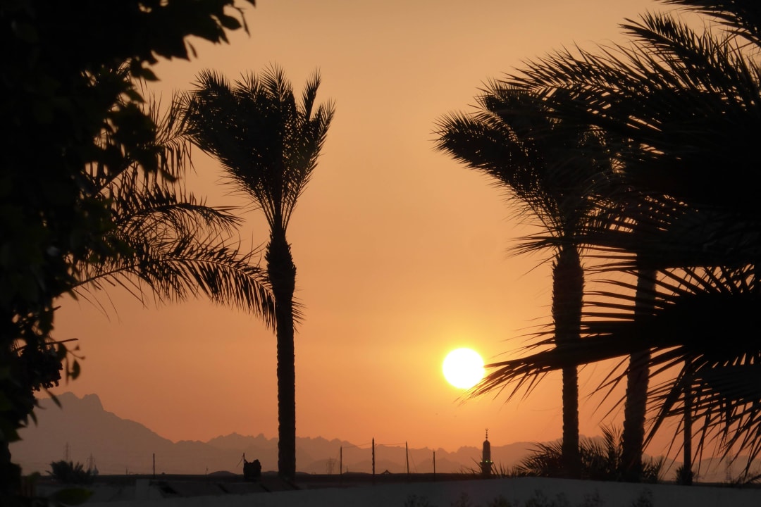 Sonnenuntergang Desert Rose