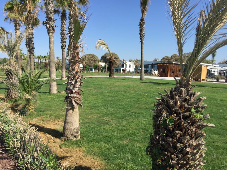 Garten Paloma Finesse