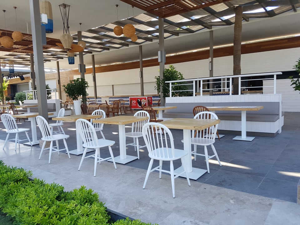 Gastro Acanthus Cennet Barut Collection