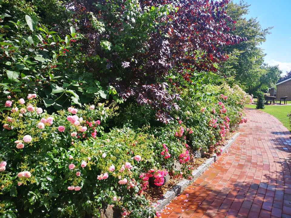 Gartenanlage Ferienhäuser Bauernhof Haltermann Landurlaub mit Stil