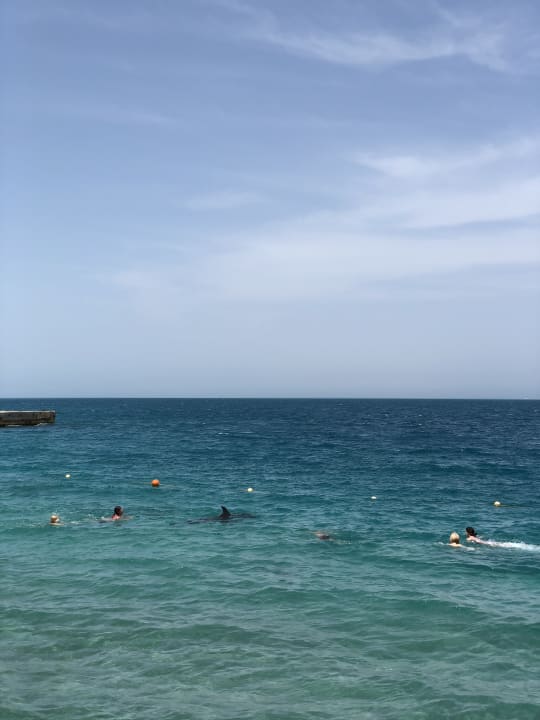 Strand Palm Beach Resort