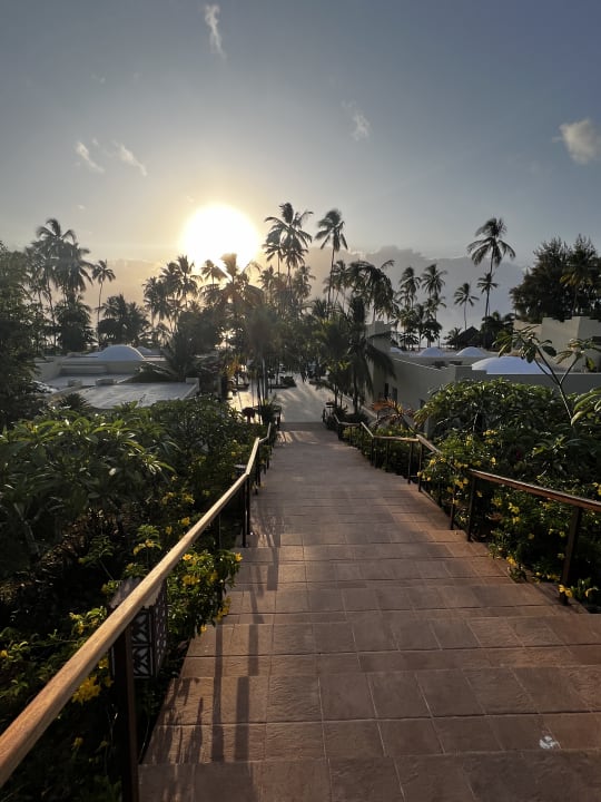 Gartenanlage TUI Blue Bahari Zanzibar