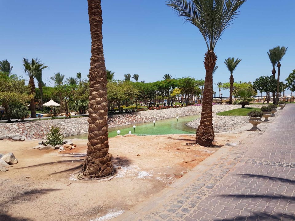 Gartenanlage Steigenberger Aqua Magic