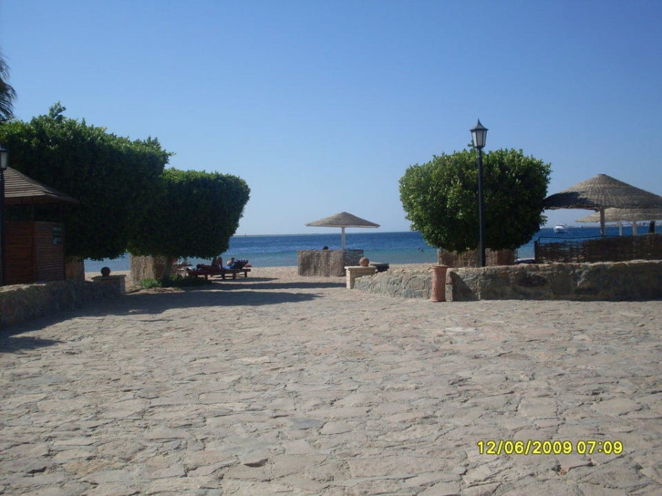 Weg zum Meer Eagles Paradise Abu Soma