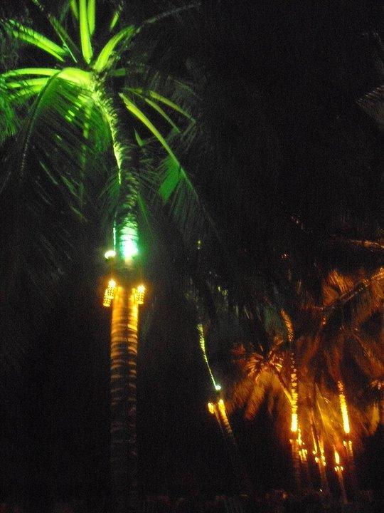 Palmen nachts beleuchtet Villa Park Sun Island