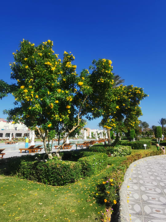 Gartenanlage Sentido Akassia Beach