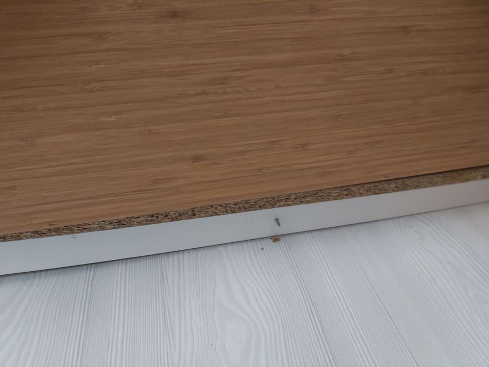 Zimmer Master Family Club