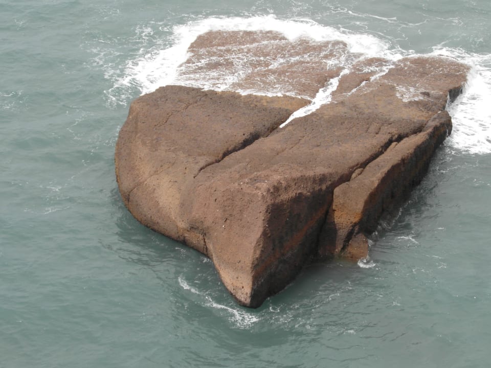 6 HOVIMA Jardin Caleta